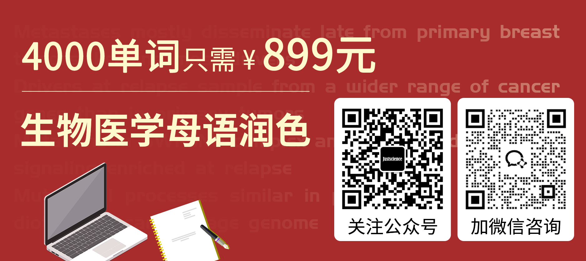 网页端搜索页底部右侧广告