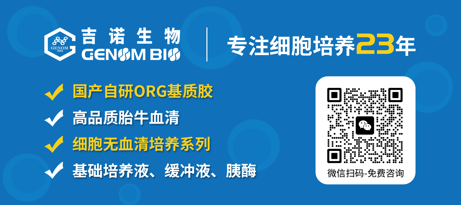 网页端搜索页底部左侧广告